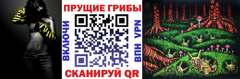 даркнет наркотические препараты  Зверево  Галлюциногенные грибы мицелий  kraken ССЫЛКА 